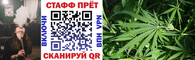 Как найти закладки Новодвинск Каннабис СК Гашиш Меф MEGA ТОР Кокаин