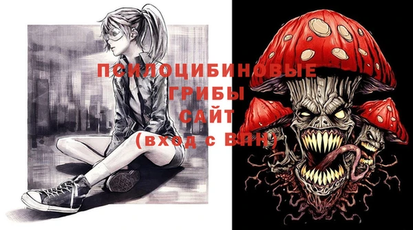 молекула духа Нефтегорск